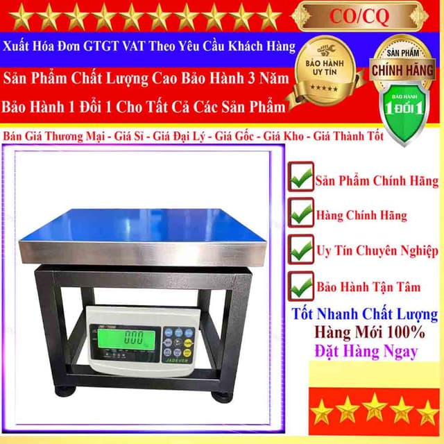 Cân Ghế Điện Tử 31