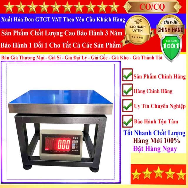 Cân Ghế Điện Tử 22