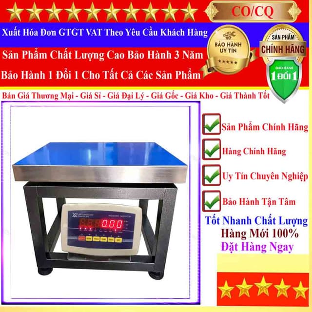 Cân Ghế Điện Tử 44